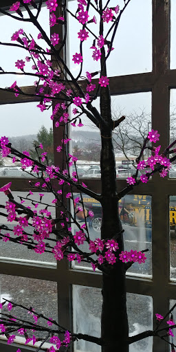 Stadium «Skylands Stadium», reviews and photos, 94 Championship Place, Augusta, NJ 07822, USA