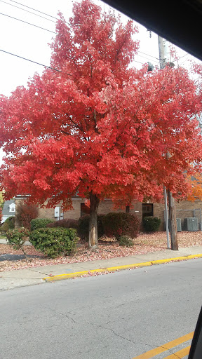 Coffee Shop «Broomwagon Bikes + Coffee», reviews and photos, 800 N Limestone, Lexington, KY 40505, USA