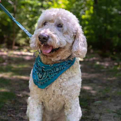 Real Estate Agency «David Medendorp REALTOR City2shore Real Estate», reviews and photos, 318 Houston Ave #302, Muskegon, MI 49441, USA