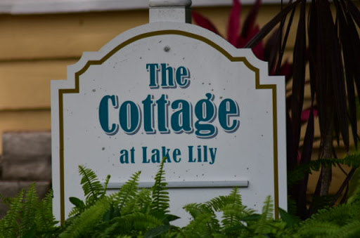 Park «Lake Lily Park», reviews and photos, 900 S Orlando Ave, Maitland, FL 32751, USA