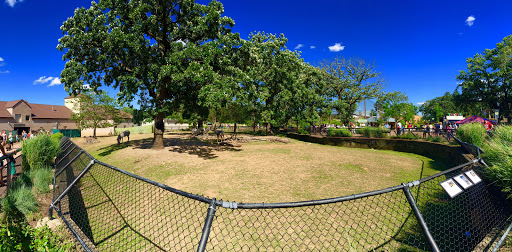 Zoo «Como Park Zoo & Conservatory», reviews and photos, 1225 Estabrook Dr, St Paul, MN 55103, USA