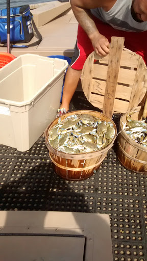 Nature Preserve «Wye Island Natural Resources Management Area», reviews and photos, 632 Wye Island Rd, Queenstown, MD 21658, USA