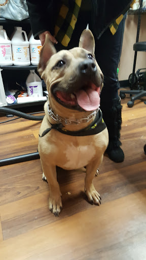 Pet Store «Pet Valu», reviews and photos, 2645 Shillington Rd, Sinking Spring, PA 19608, USA