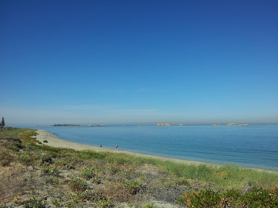 Shoalwater Beach