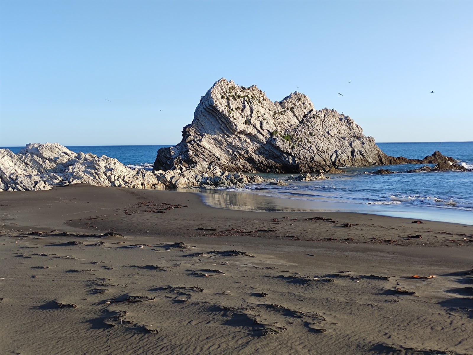 Foto af White Rock Beach bakket op af klipperne