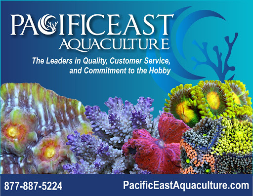 Pet Supply Store «Pacific East Aquaculture», reviews and photos, 107 School St, Mardela Springs, MD 21837, USA