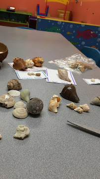 Playhouse 3 Learning & Development Center - Photo 8 - Car repair in McAllen, TX, McAllen