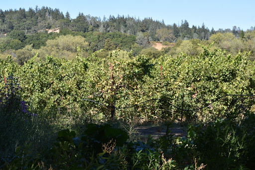Winery «Preston Farm and Winery», reviews and photos, 9282 W Dry Creek Rd, Healdsburg, CA 95448, USA