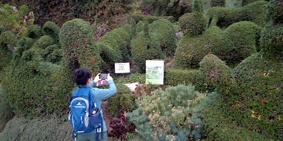 Harper's Topiary Garden