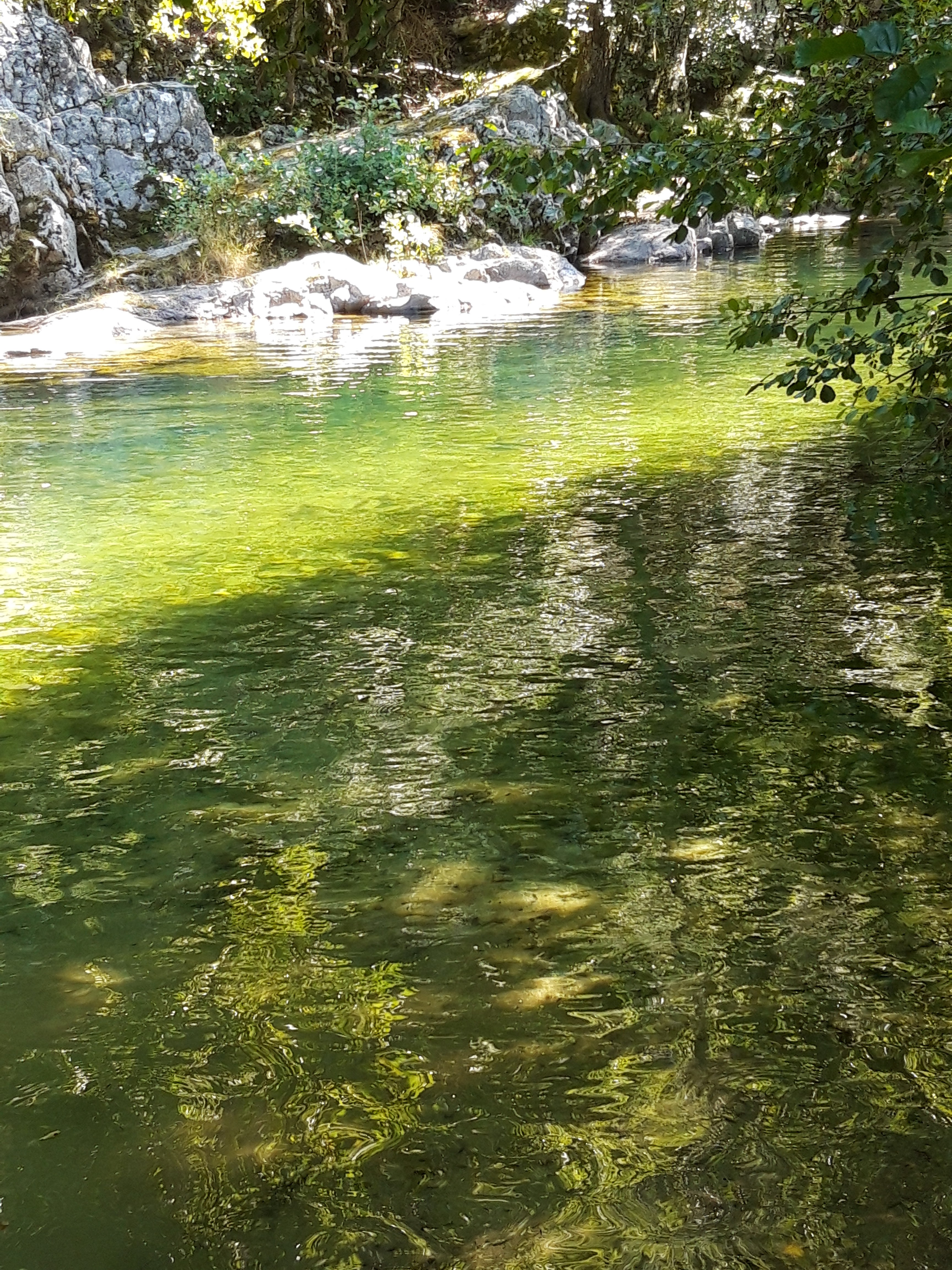 Photo n° 3 de l'avis de Jennifer.e fait le 07/08/2019 à 20:05