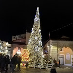 Photo n°5 de l'avis de francesco.n fait le 28/12/2019 à 20:38 sur le  Albergo Trattoria Alessi à Desenzano del Garda