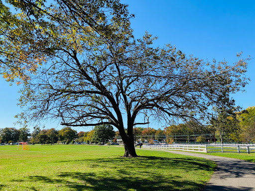 Park «Merrill Park», reviews and photos, Fairview Ave, Colonia, NJ 07067, USA