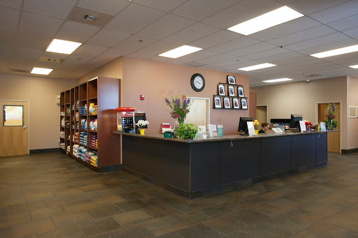 Dr. Lisa Ethridge- Cottage Veterinary Clinic image