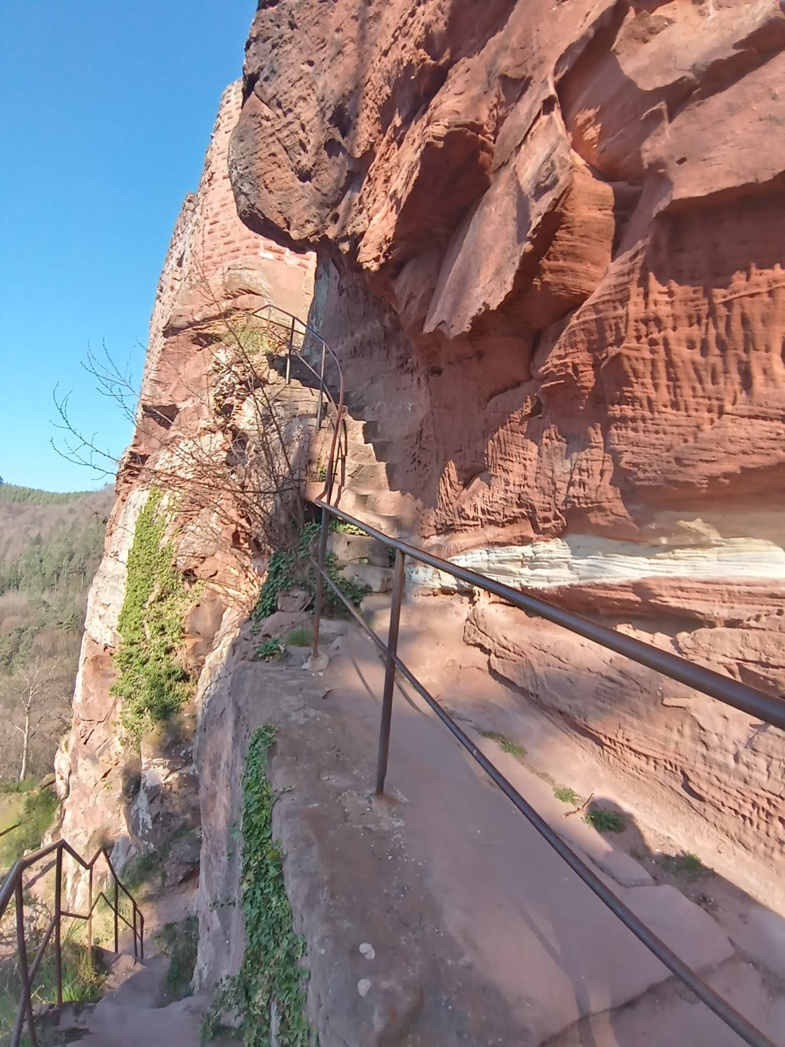 Photo n° 25 de l'avis de Manuela.s fait le 03/04/2021 à 09:38