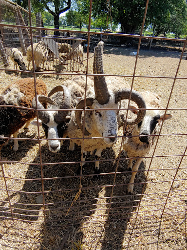 Zoo «Cricket Hollow Zoo», reviews and photos, 1512 210th St, Manchester, IA 52057, USA