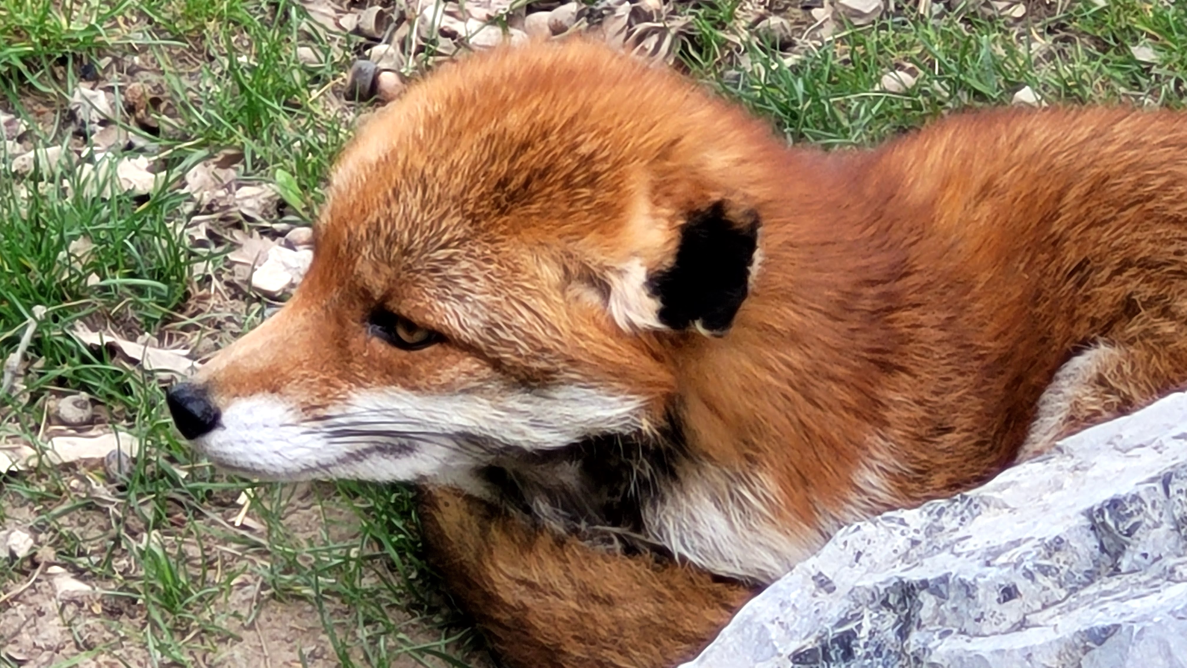 Photo n° 33 de l'avis de PASSIONS.O fait le 24/05/2023 à 09:56