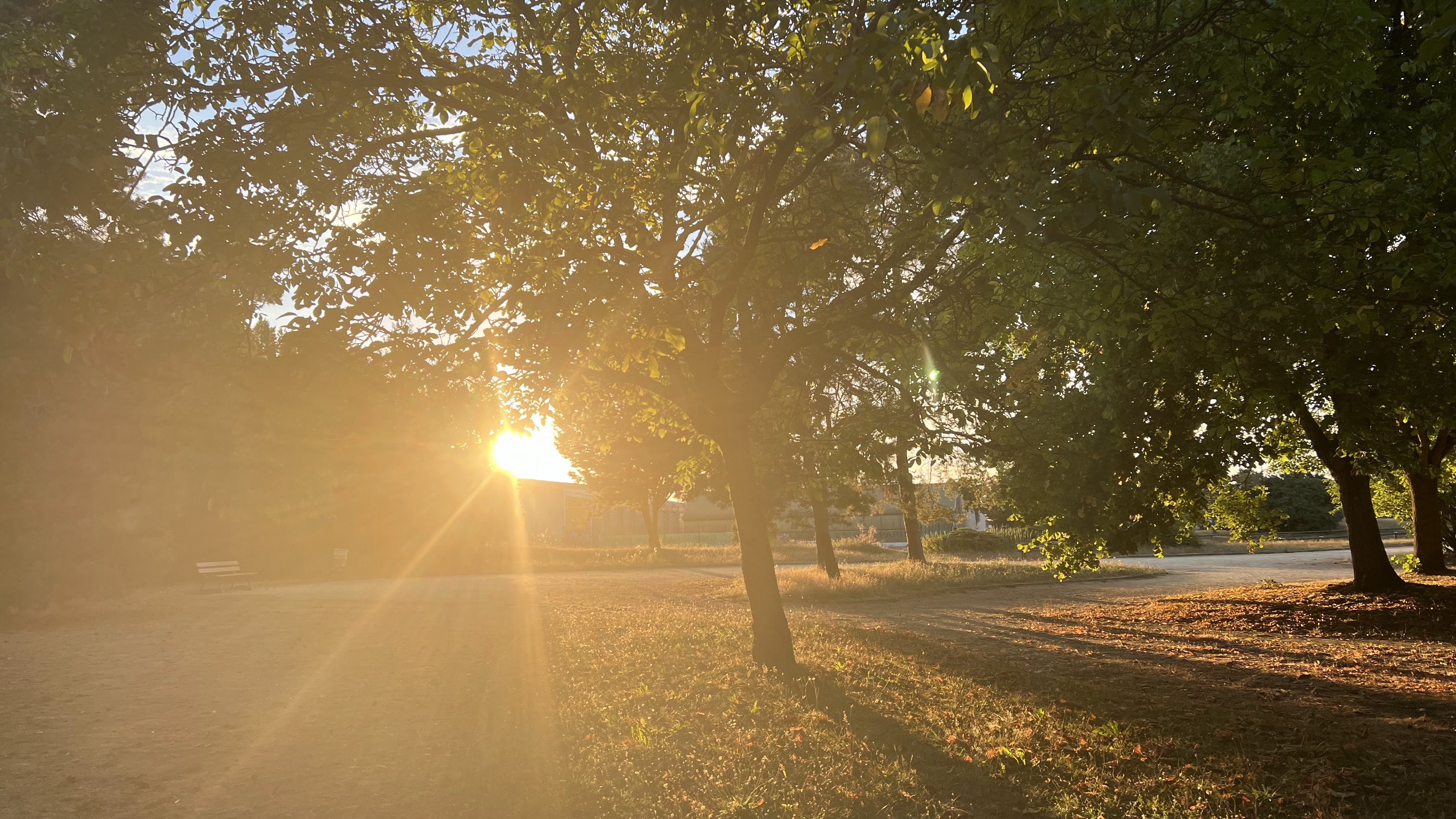 Photo n° 3 de l'avis de Franck.o fait le 03/08/2018 à 14:09