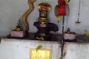 Panchabootha Srichakra Mandralayam image