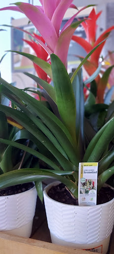 Shopping Mall «Northside Mall», reviews and photos, Ross Clark Cir & Hwy 231, Dothan, AL 36303, USA