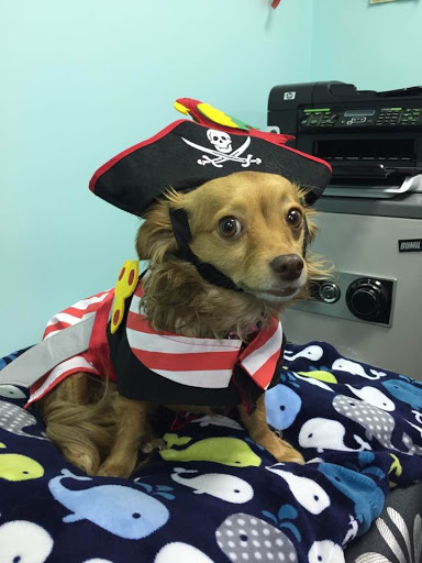 Boutique «Embellish», reviews and photos, 14 S 9th St, Richmond, IN 47374, USA