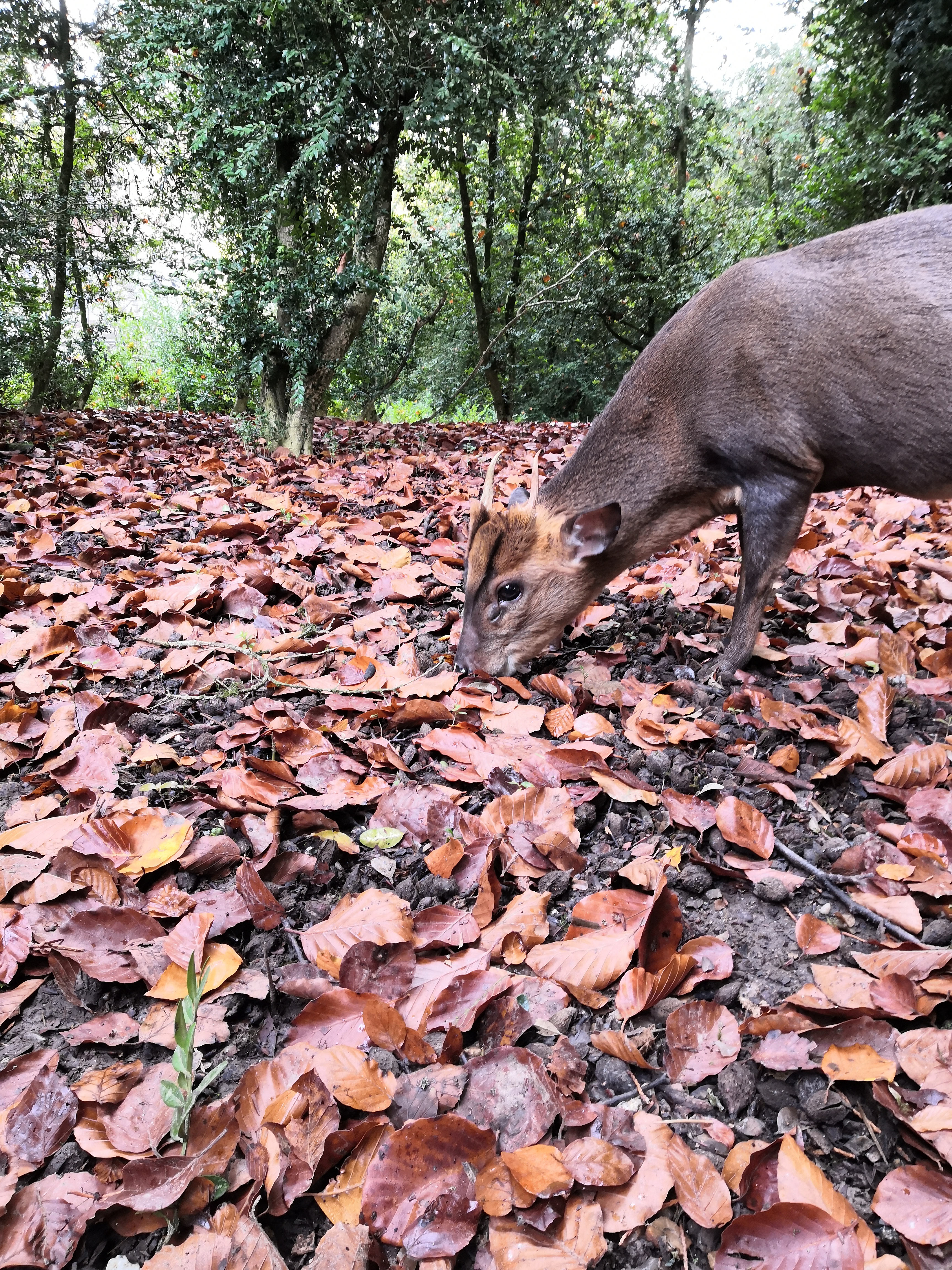 Photo n° 1 de l'avis de Thibault.� fait le 11/11/2021 à 11:36