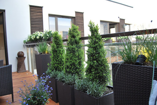 Ogrody Przyszłości. Magdalena Szumińska