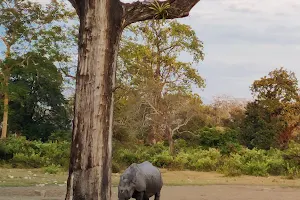 Jaldapara Rhino Watch Tower image