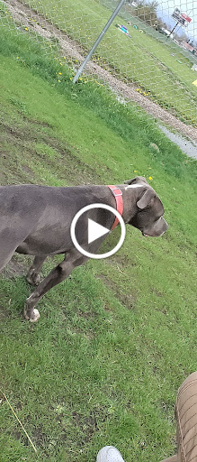 Animal Protection Organization «Humane Society-Black Hills», reviews and photos