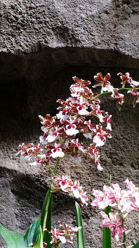 Zoo «Mesker Park Zoo», reviews and photos, 1545 Mesker Park Dr, Evansville, IN 47720, USA