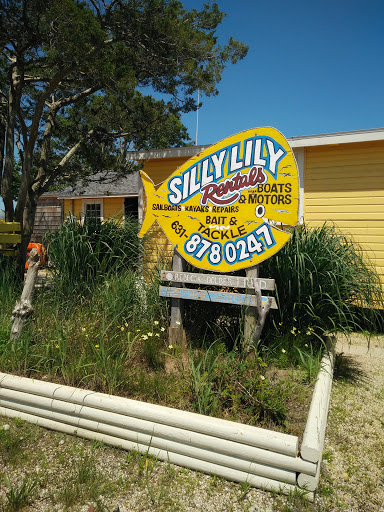 Silly Lily Fishing Station image 3