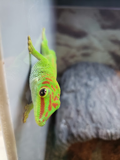 Pet Supply Store «Petco Animal Supplies», reviews and photos, 1337 N National Rd, Columbus, IN 47201, USA