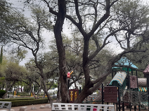 Parque De Alamos