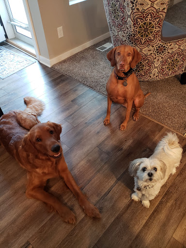 Chalco Hills Animal Hospital image