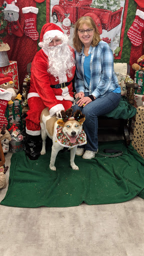 Pet Supply Store «Petco Animal Supplies», reviews and photos, 1100 Middle Country Rd, Selden, NY 11784, USA