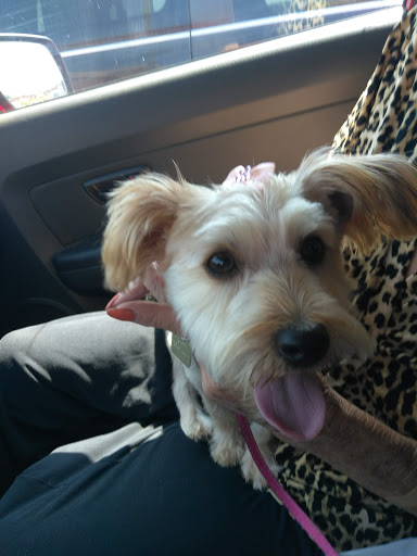 Pet Supply Store «Petco Animal Supplies», reviews and photos, 4820 South Baldwin Road #3B, Orion Township, MI 48359, USA