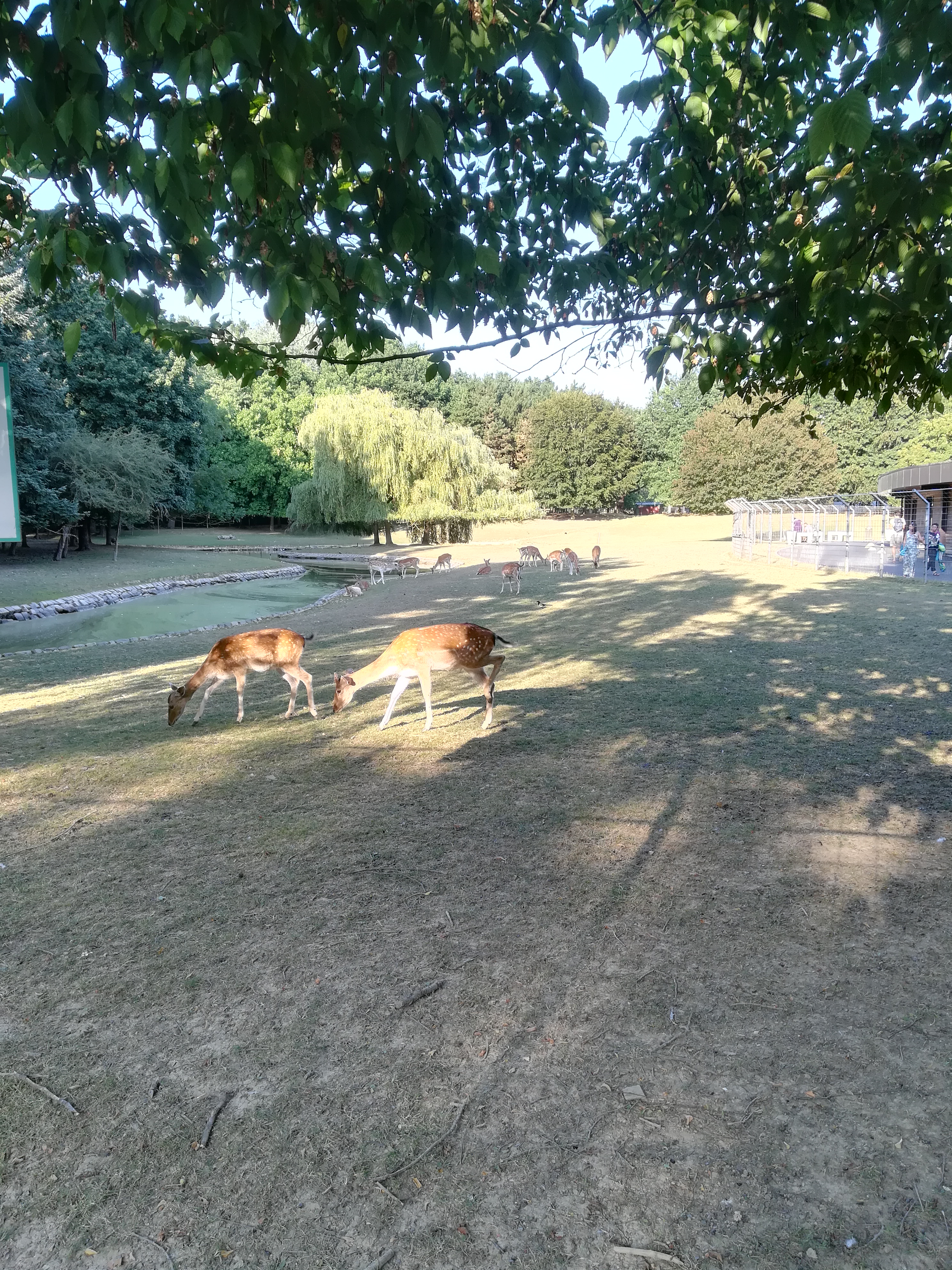 Photo n° 2 de l'avis de Damien.i fait le 19/07/2018 à 16:07