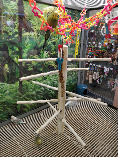 Pet Supply Store «Petco Animal Supplies», reviews and photos, 265 N Broadway f, Hicksville, NY 11801, USA