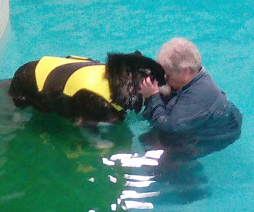 Pet Store «The Dog Dive», reviews and photos, 1613 Riverview Dr, Kalamazoo, MI 49004, USA