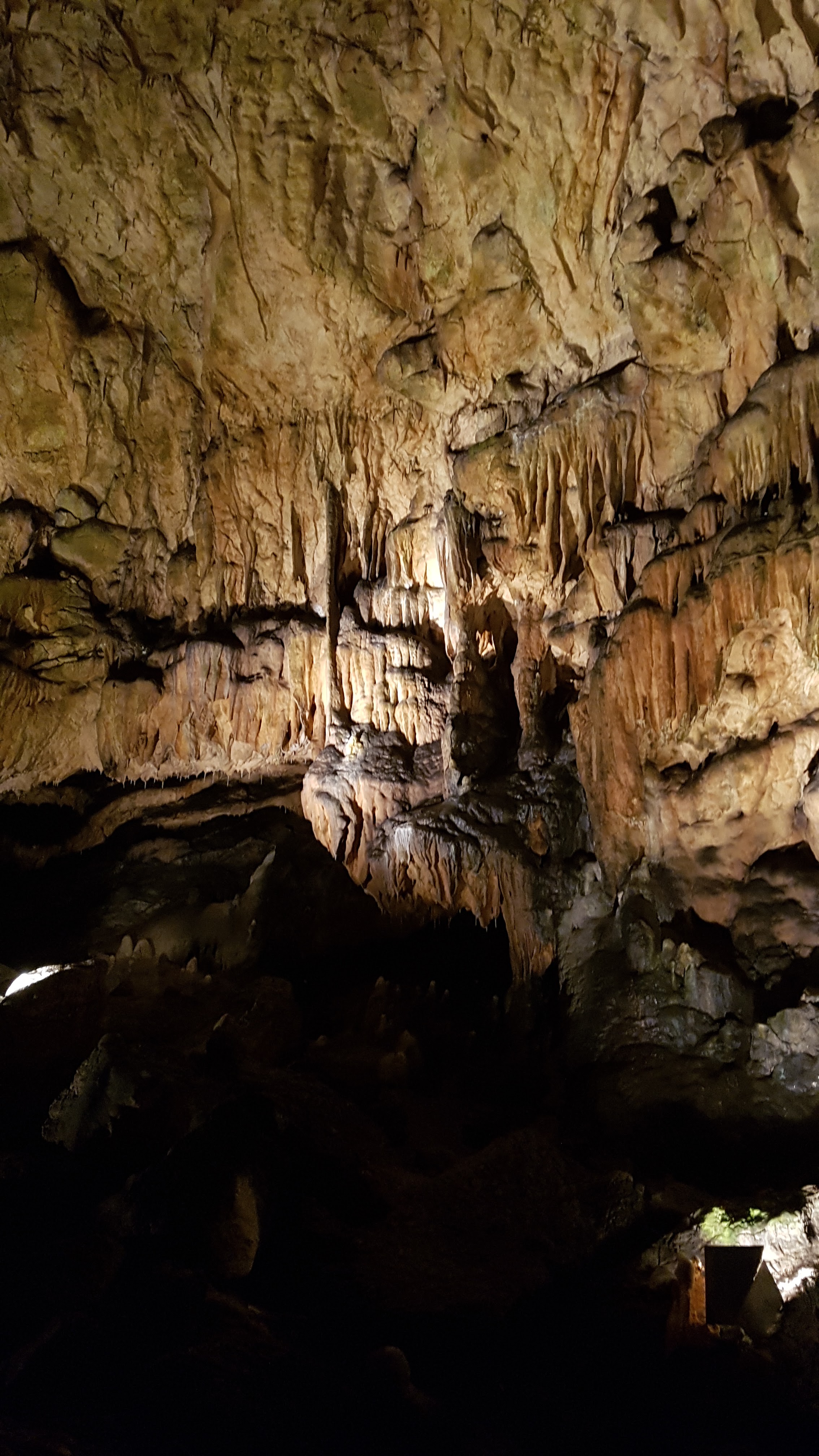 Photo n° 42 de l'avis de delphine.l fait le 25/08/2018 à 12:52