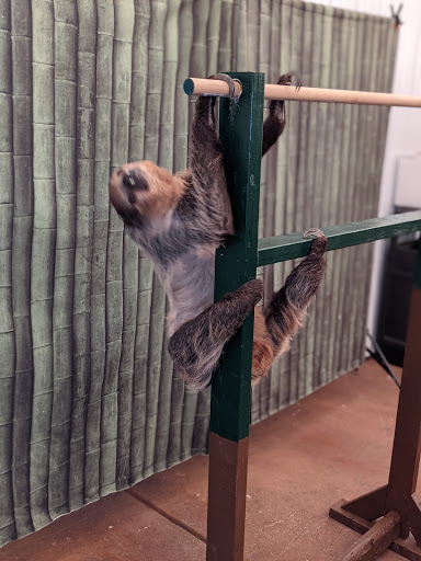 Winery «Salted Vines Vineyard & Winery», reviews and photos, 32512 Rd 374, Frankford, DE 19945, USA