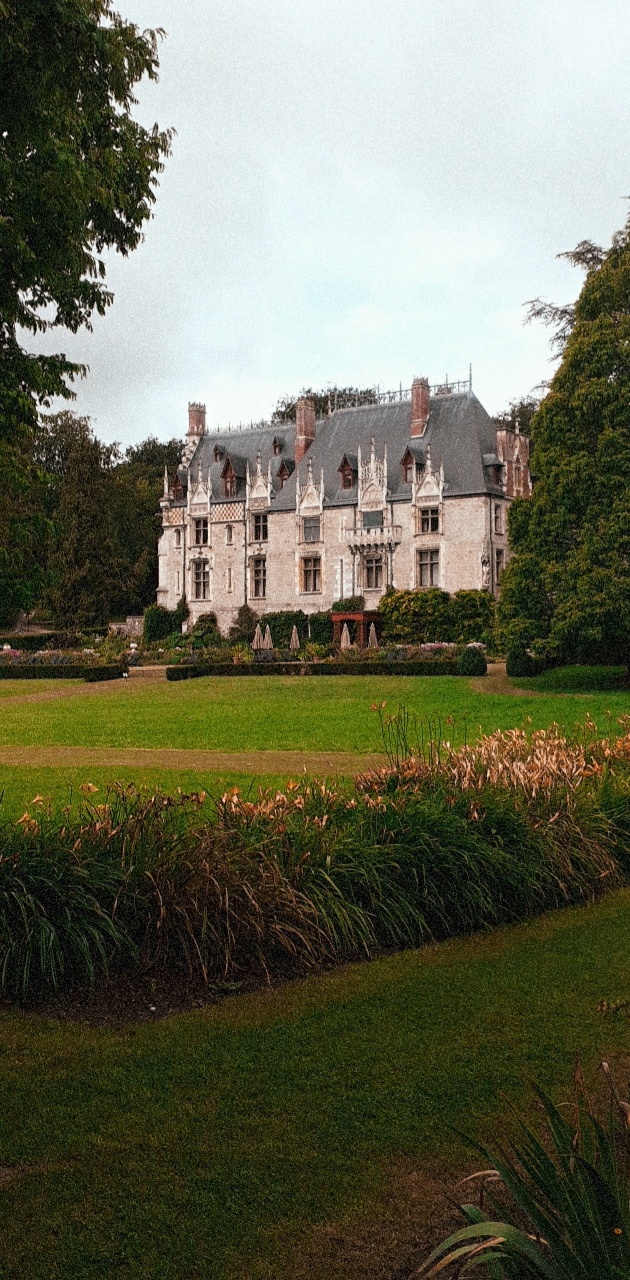 Photo n° 36 de l'avis de Ciccio.e fait le 28/07/2020 à 01:20