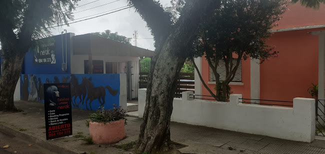 Opiniones de ESTETICA UNISEX NERAK en Tacuarembó - Peluquería