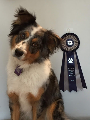 VCA Canada Calgary West Animal Hospital image
