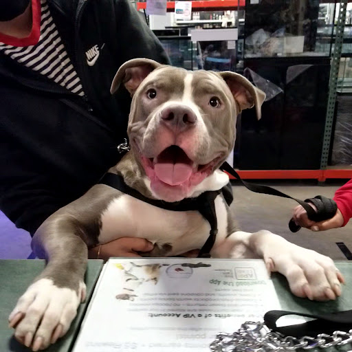 Pet Supply Store «Pet Supreme», reviews and photos, 12823 Foothill Blvd, Sylmar, CA 91342, USA