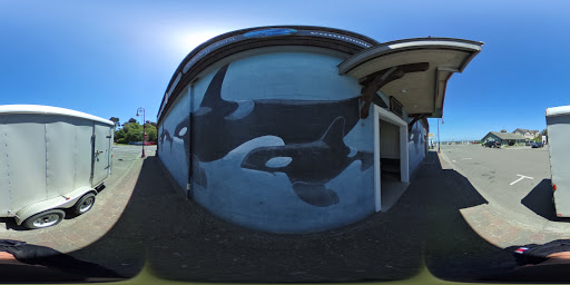 Coffee Shop «Bandon Coffee Cafe», reviews and photos, 365 2nd St SE, Bandon, OR 97411, USA