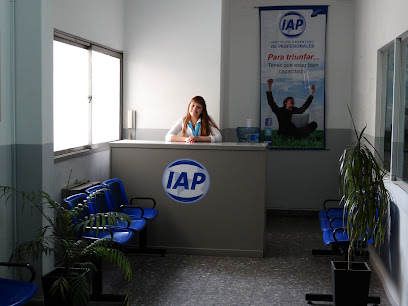 IAP - Instituto Argentino de Profesionales