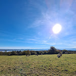 Photo n°8 de l'avis de Claus.i fait le 30/10/2021 à 11:04 sur le  Forsthaus Ilkahöhe Restaurant & Biergarten à Tutzing