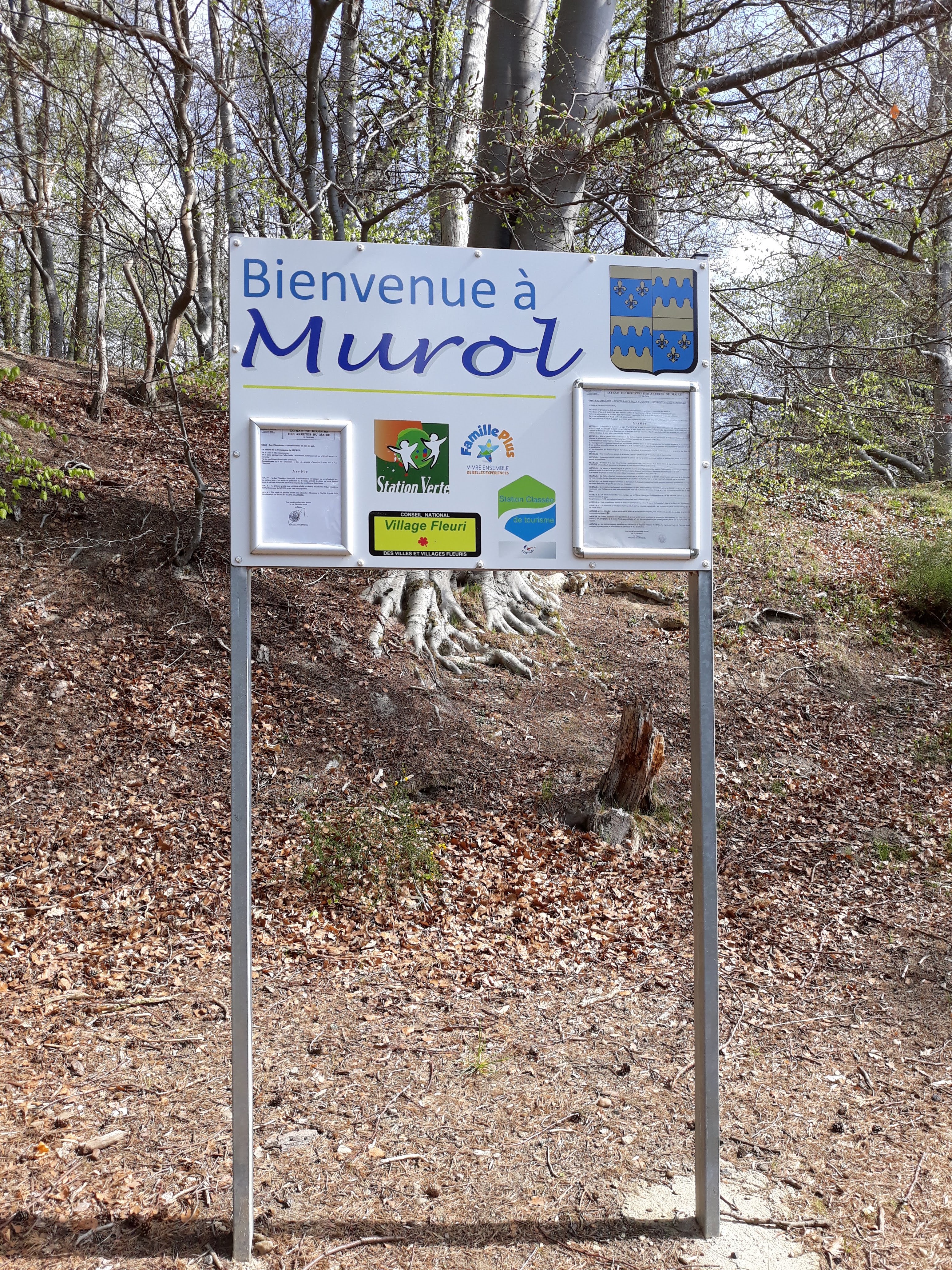 Photo n° 2 de l'avis de torokiet. fait le 02/05/2019 à 15:36