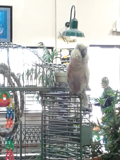 Pet Store «Pet Paradise Grooming», reviews and photos, 1115 Pueblo Blvd Way, Pueblo, CO 81005, USA