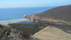 La Bocana Beach'in fotoğrafı biraz temiz temizlik seviyesi ile